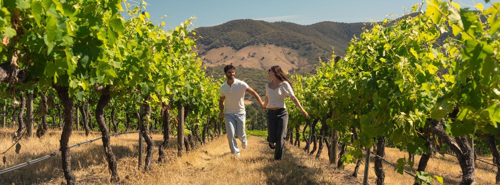 Uncork NSW: A spotlight on NSW's wine regions