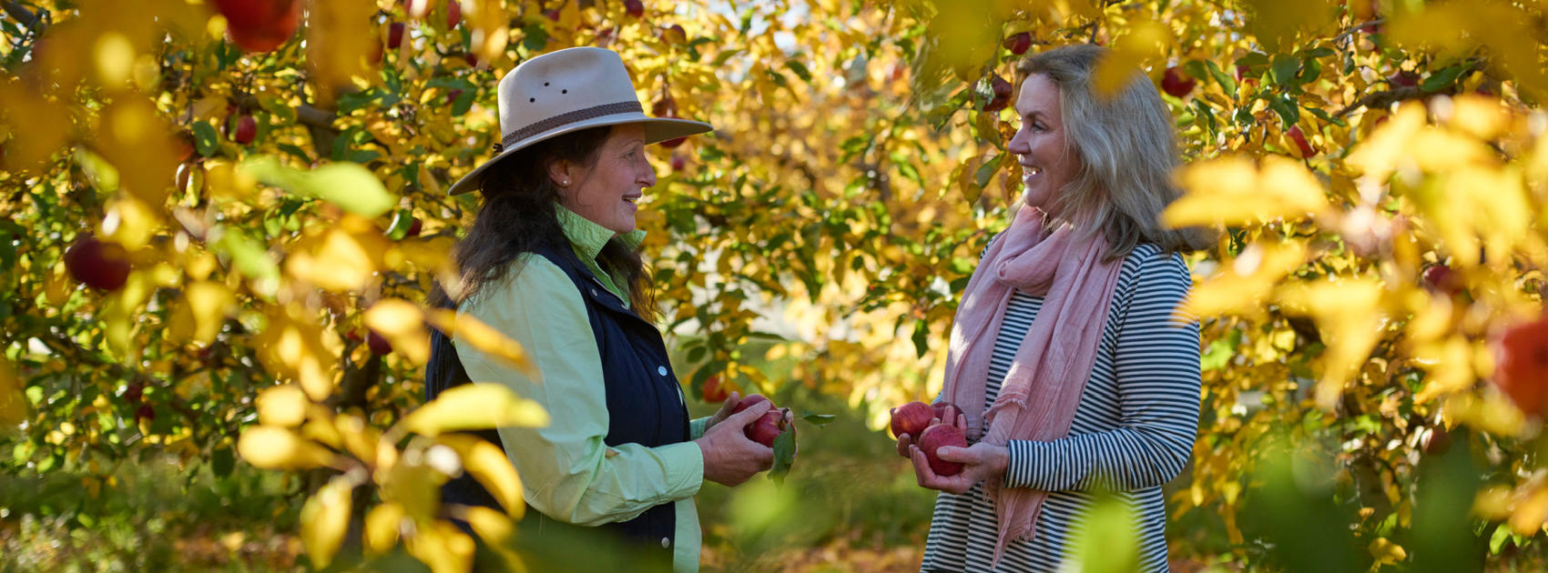 Agritourism Summit to take place in NSW