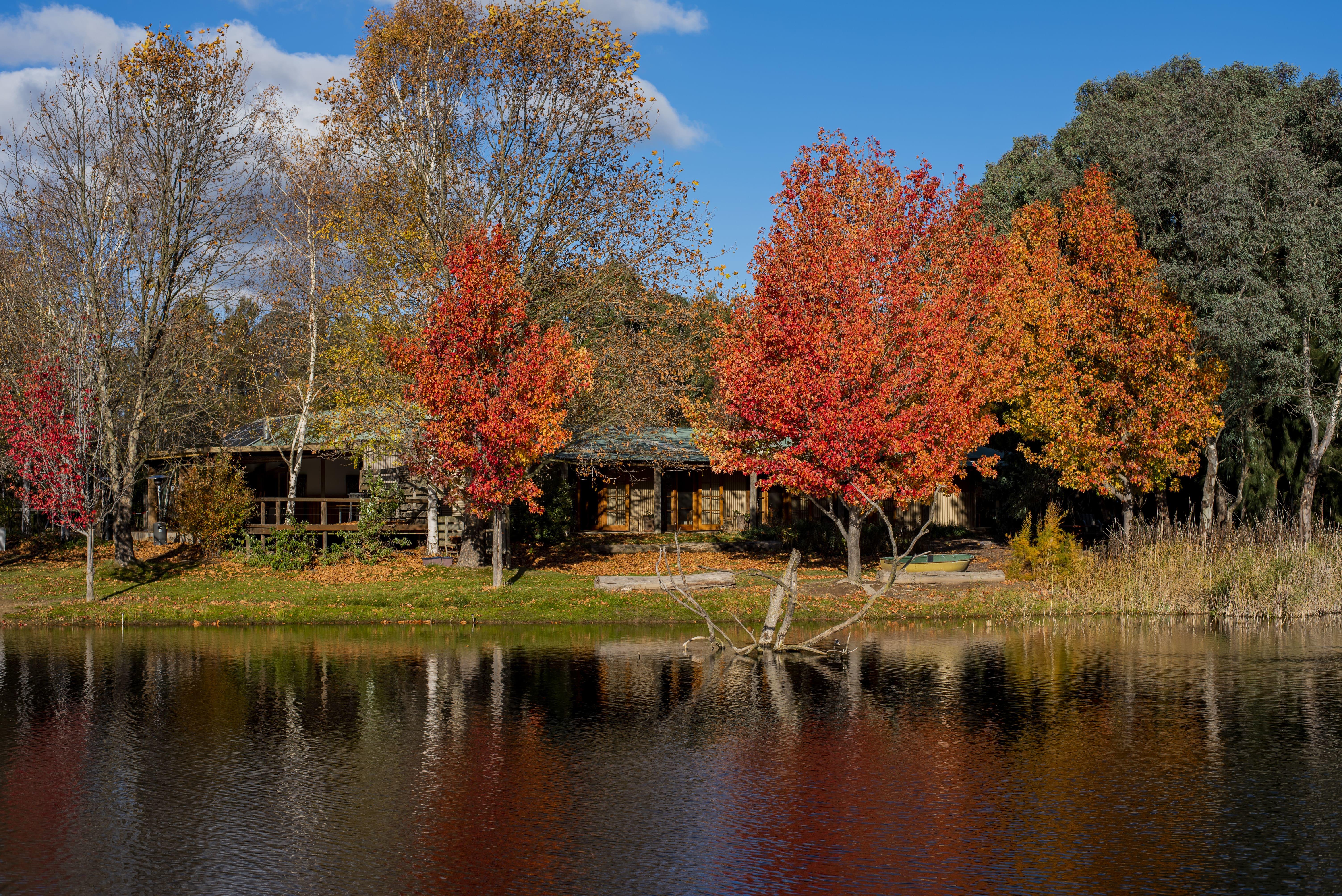 The rural lakeside garden