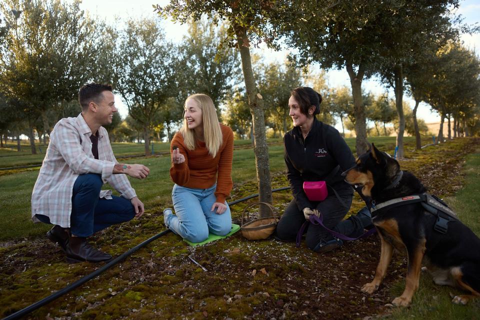 Truffle hunting experiences across NSW