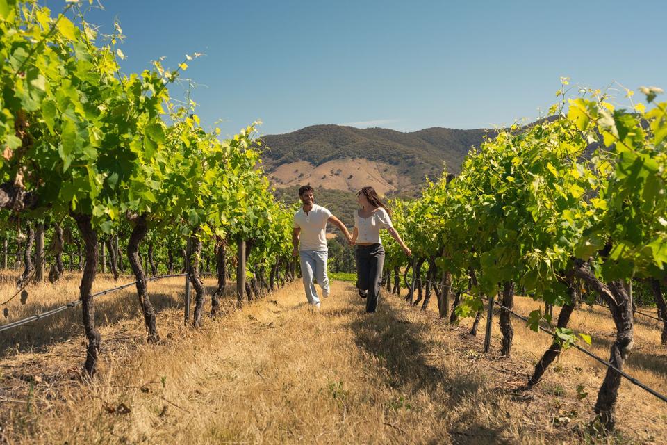 Uncork NSW: A spotlight on NSW's wine regions