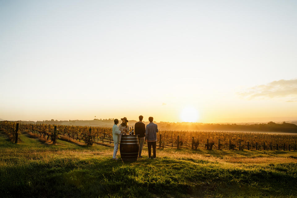 A spotlight on NSW wine regions
