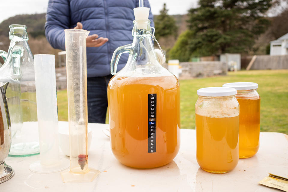 Mead Life Crisis @ Bowral Honey Farm