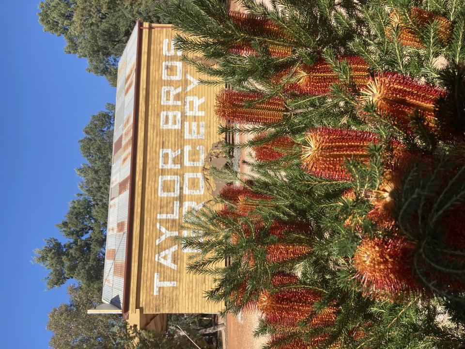 Griffith Pioneer Park Museum