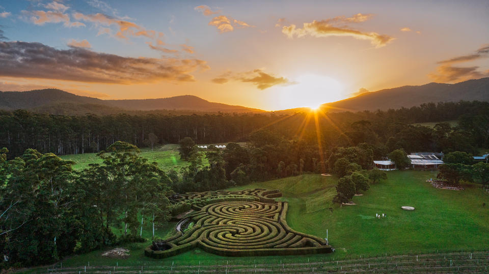 Bago Maze & Wine