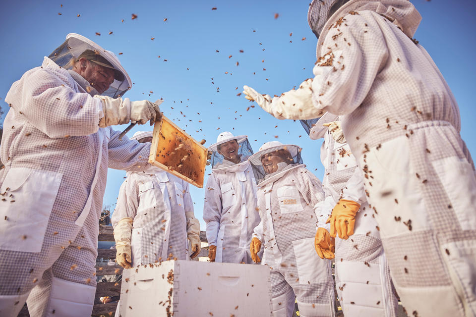 NSW Government locks in ambitious plan to grow visitor economy