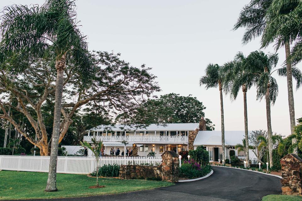 Fins at Plantation House