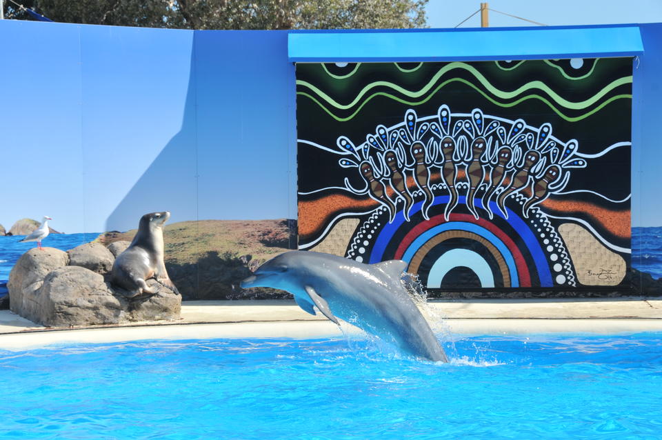 Dolphin Marine Conservation Park 