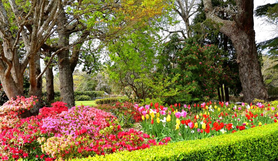 Nesuto Leura Gardens Hotel