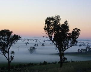 Dragons Breath, Everview Retreat