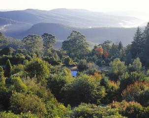 Blue Mountains Botanic Garden