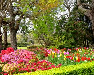 Nesuto Leura Gardens Hotel  hero